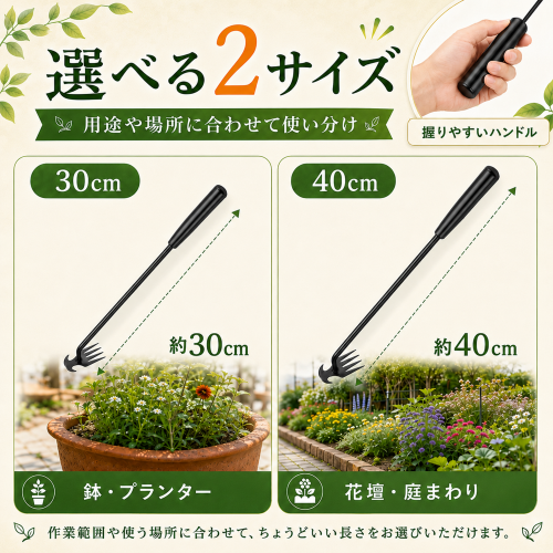 06.png